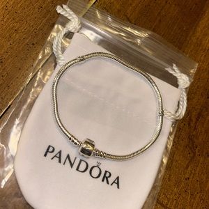 Pandora Moments Snake Chain bracelet